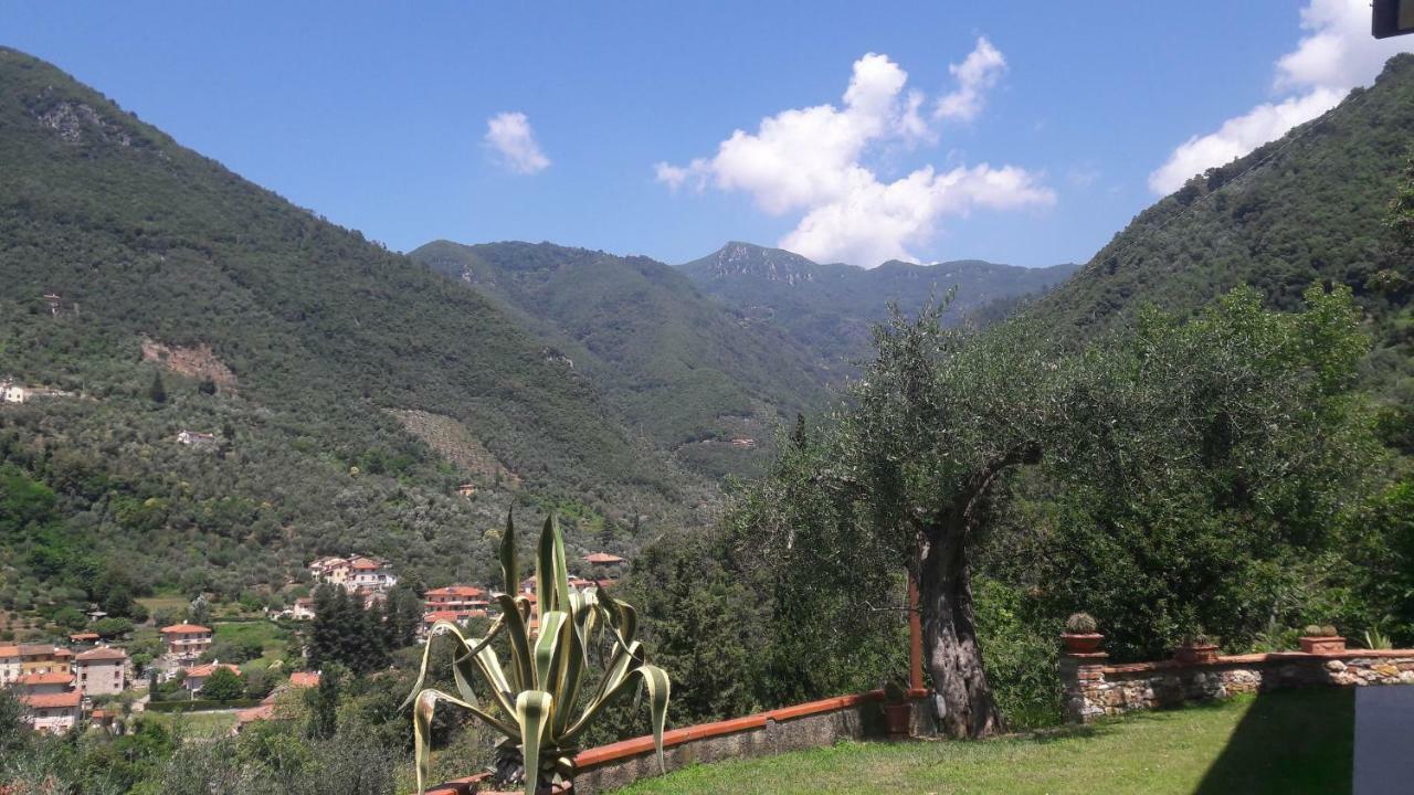 Il Colle Di Abramo Casa Vacanze Enrica Pietrasanta Exterior foto